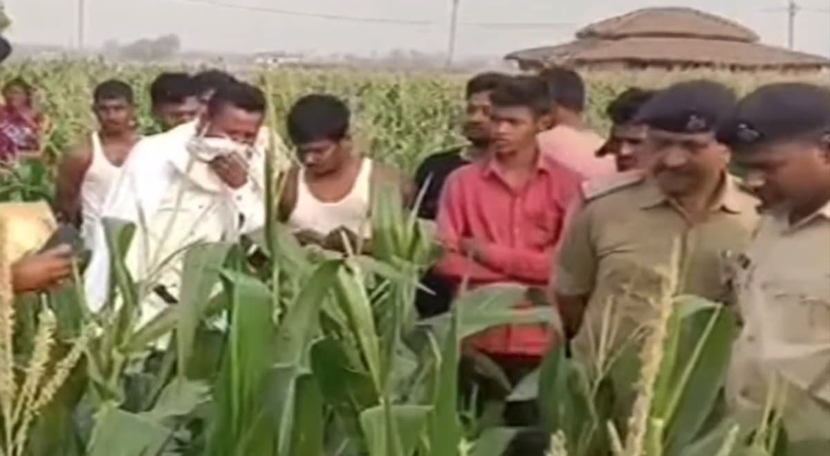 पटना के मोकामा में युवक की हत्या कर शव को मकई के खेत में फेंका..