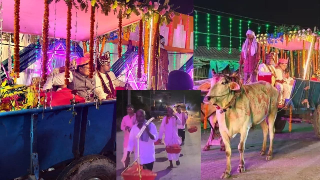 जिसने भी देखा रह गया हैरान, बैलगाड़ी से निकली बारात तो विधायक भी अपने आप को नहीं रोक सके