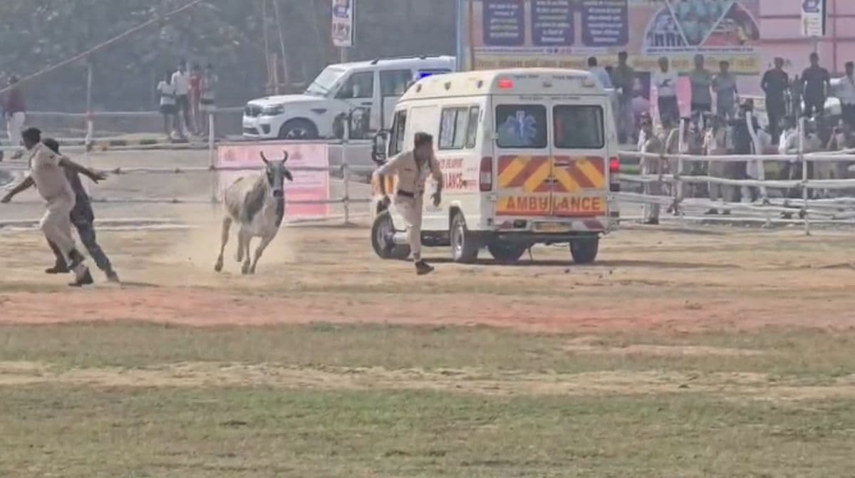 सीएम के पहुँचने से पहले हेलिपैड पर पहुंचा सांढ, बेगूसराय में सुरक्षा में दिखी भारी चूक...